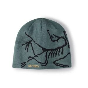 Metallic Graphic Beanie